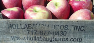 Every apple is hand-picked on our farm!